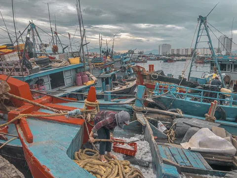 Đà Nẵng: Dự chi hàng tỷ đồng cải tạo, xoá điểm nóng ô nhiễm Âu thuyền - Thọ Quang